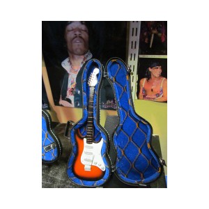 Image result for pic empty guitar case